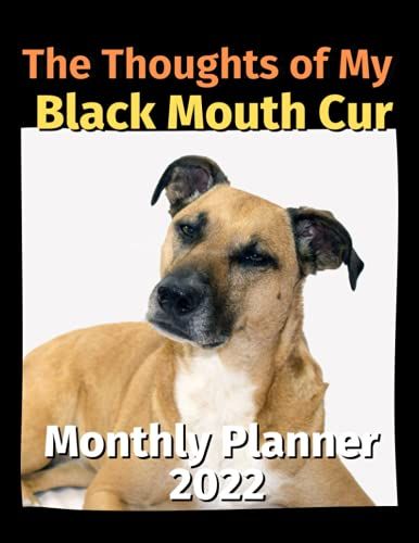 The Thoughts Of My Black Mouth Cur: Monthly Planner 2022