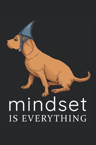 Funny Dog With Aluminium Hat Irony Satire Conspiracy Mindset Opinion Quote: Notebook - Funny Mindset Phrase Whiteness Gift, Gift Idea - A5 (6x9) - 120 ... Book, Sketch, Planner, Birthday, Funny, Sweet
