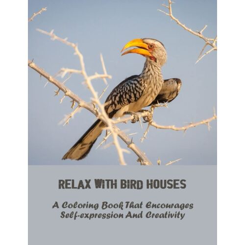 Relax With Bird Houses: A Coloring Book That Encourages Self-Expression And Creativity