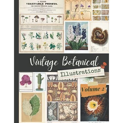 Vintage Botanical Illustrations (Volume 2): One-Sided Decorative Paper For Junk Journaling, Scrapbooking, Decoupage, Collages, Origami, Card Making & ... Ephemera, 190+ Vintage Images & Paintings