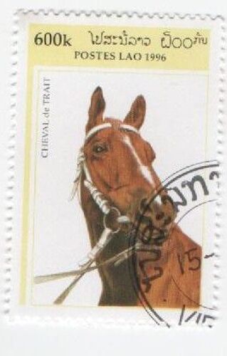 Timbre Laos Lao Cheval Oblitere 600k