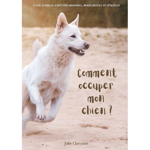 Comment Occuper Mon Chien ? - Guide Pratique D'activités Masticatoires, Olfactives Et Mentales