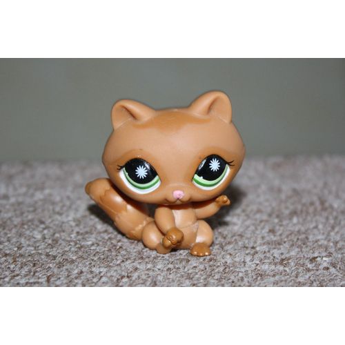 Petshop Le Raton Laveur Marron Et Caramel / Pet Shop #953