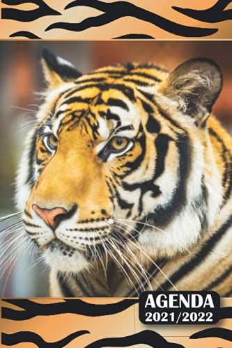 Agenda Scolaire 2021 2022: Agenda Scolaire Animaux | Pour Étudiants Collège - Lycée - Ado | Organiseur Planificateur Journalier Et Semainier Août 2021 À Juillet 2022 | Tigre Lion Panthère Chat Loup