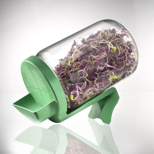 Germline Germoir en verre
