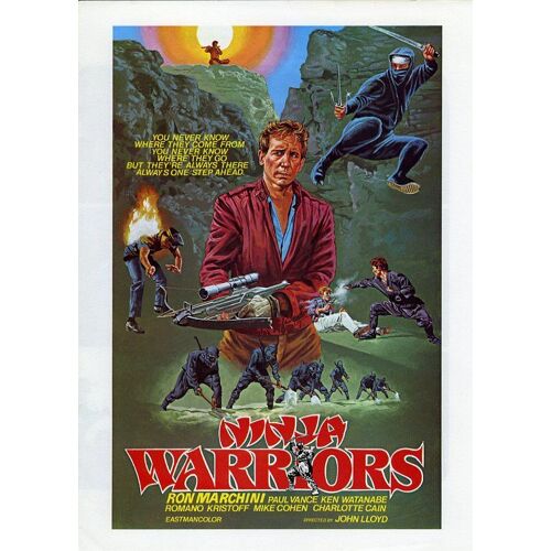 Ninja Warriors, Synopsis Dépliant, John Lloyd, Avec Ronald L. Marchini, Romano Kristoff, Paul Vance