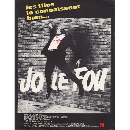 Jo Le Fou, Synopsis, De Carlo Lizzani, Avec Peter Boyle, Paula Prentiss, Fred Williamson