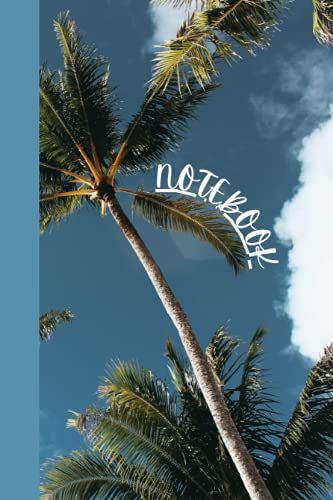 Notebook: Notebook: Journal Notebook To Write In For Everybody | 120 College Ruled Pages | Small (6 X 9 Inches)