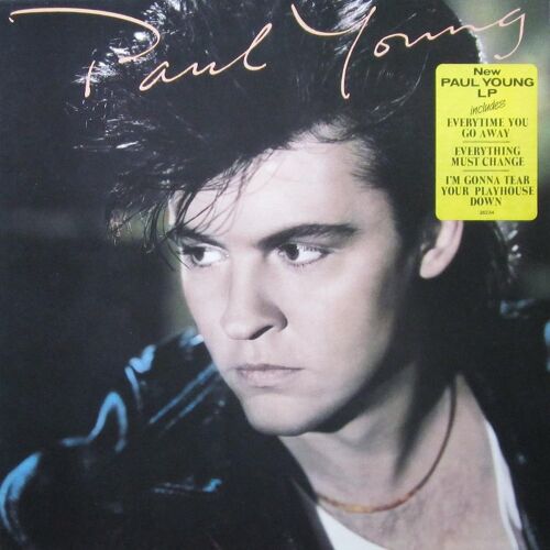 The Secret Of Association [Vinyl Lp] [Schallplatte] Lp, Import Paul Young Format : Album Vinyle