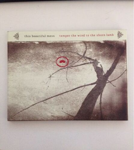 Temper The Wind To The...