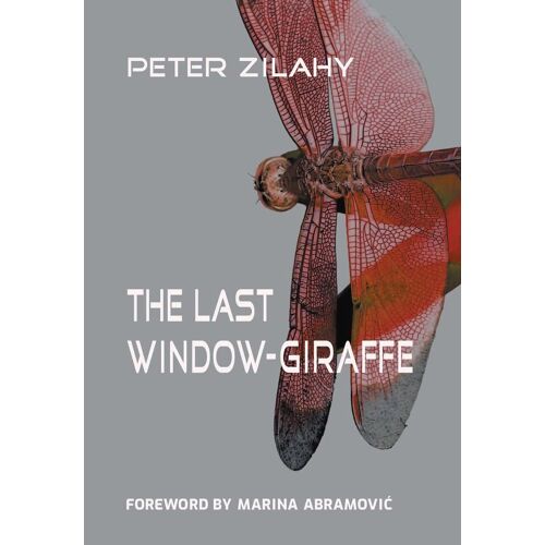 The Last Window-Giraffe