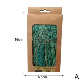 Matériel De Table De Sable De Fabrication De Paysage Pour Enfants, Bricolage De Scène, Cadeaux, Plante De Construction, Jouets, Modèle, Fournitures, Mode De Simulation Miniature S8o2