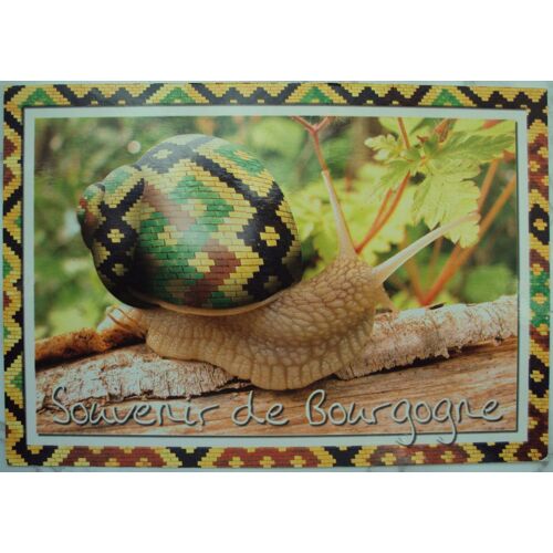 France.. Souvenir De Bourgogne . Escargot . Phot. Jean-Philippe Ehrmann .Editions Nivernaises. Au Verso Timbre Art Gothique : Vierge À L'enfant.