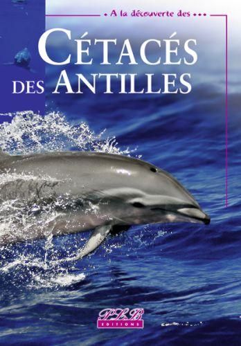 Cétacés Des Antilles