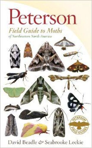 Peterson Field Guide To Moths Of Northeastern North America