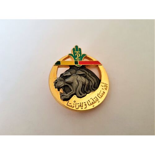 Militaria Insigne 2ème Rta Régiment De Tirailleurs Algérien / Arthus Bertrand Pour Les Éditions Atlas 