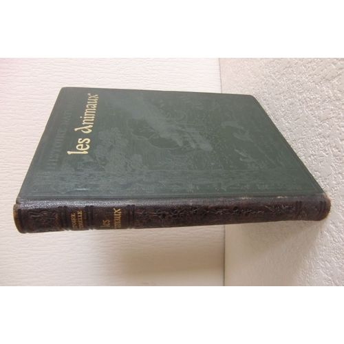 Histoire Naturelle Les Animaux