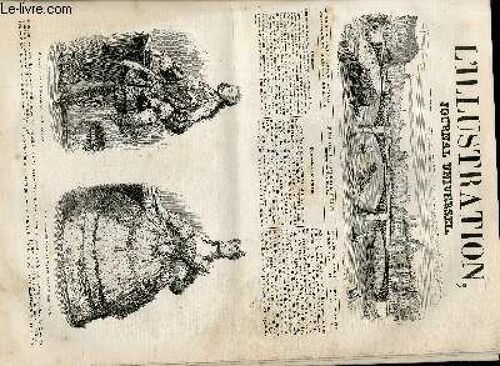 L'illustration Journal Universel N° 120 - Courrier De Parts. Deux Gravures. Costumes Cle Madame La Duchesse Et De M. Le Duc De Nemours Au Bal De La Reine D'angleterre. ¿ His-Lolre De 1» ...