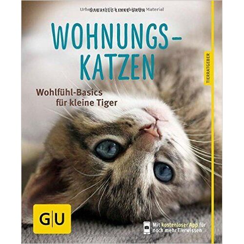 Wohnungskatzen