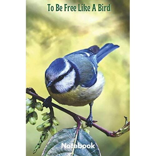 Classic Lined Notebook: To Be Free Like A Bird, Journal For Writing, Colorful Bird On Tree Branch Theme (Colorful Soft Cover, White Paper, 100 Pages, Size 6" X 9")