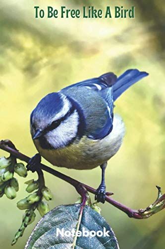 Classic Lined Notebook: To Be Free Like A Bird, Journal For Writing, Colorful Bird On Tree Branch Theme (Colorful Soft Cover, White Paper, 100 Pages, Size 6" X 9")