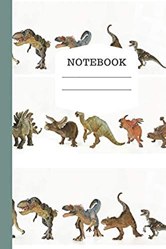 Notebook: Wide Ruled Journal For Young Boys And Girls 1st Journal.