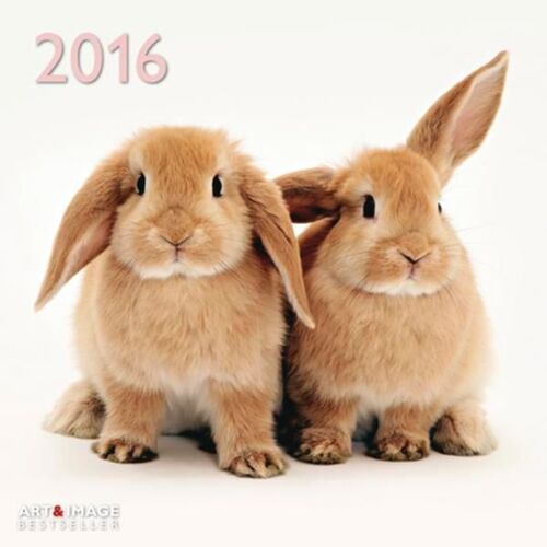 Calendrier 2016 - Lapins - Bunnies - 30x30 Cm
