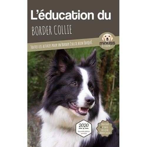 L'éducation Du Border Collie - Toutes Les Astuces Pour Un Border Collie Bien Éduqué