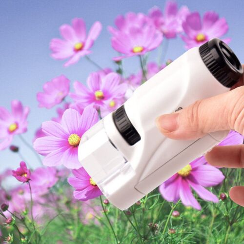 Microscope Portable loupe de poche lampe LED, jouet Microscope éducatif 60 à 120 fois divertissement pour enfants