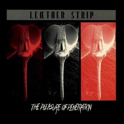 Leather Strip - The Pleasure Of Penetration - Silver [Vinyl Lp] Bonus Tracks, Colored Vinyl, Silver, Rmst, Reissue