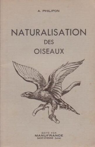 Naturalisation Des Oiseaux