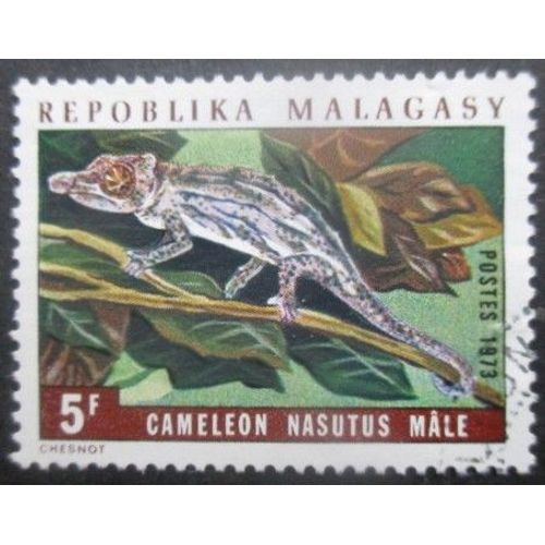 Madagascar N°524 Caméléon Oblitéré