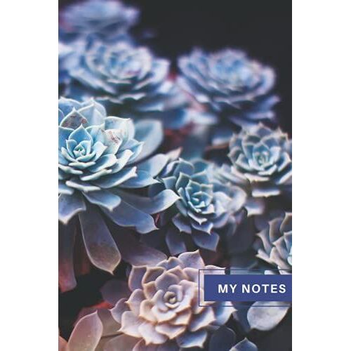 My Notes: Lined Paper Journal- (Medium - 6 In X 9 In) Succulents Paperback Lined Notebook