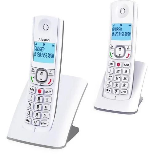 Alcatel Classic F530 Duo - Téléphone sans fil avec ID d'appelant - DECT - (conférence) à trois capacité d'appel - gris, blanc + combiné supplémentaire