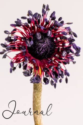 Journal - Poppy: Lined Notebook