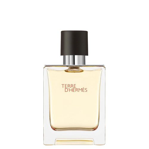 Hermes Paris Terre D'hermes Eau De Toilette 50ml Vaporisateur 