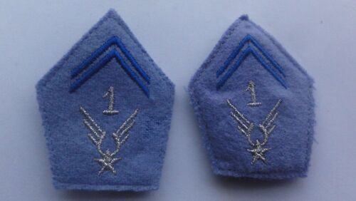 Paire Pattes De  Col 1er Régiment Alat