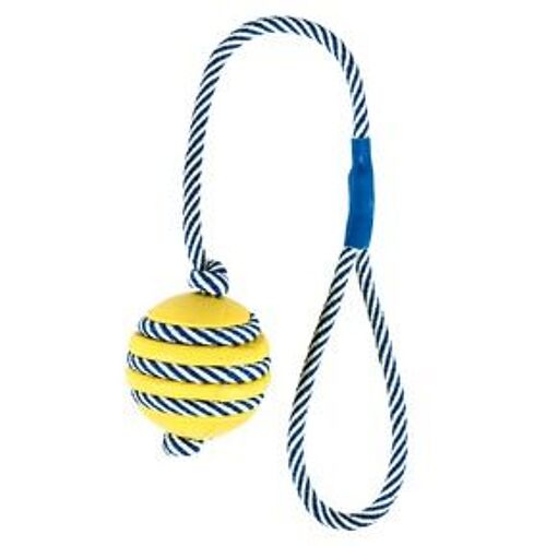 Os Sur Une Corde Phosphorescente, 11 Cm/40 Cm - 34962