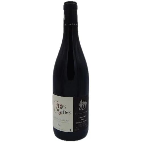 Domaine Des Roches Neuves Cuvée Terres Chaudes 2022 Saumur Champigny - Vin Rouge De Loire - Bio