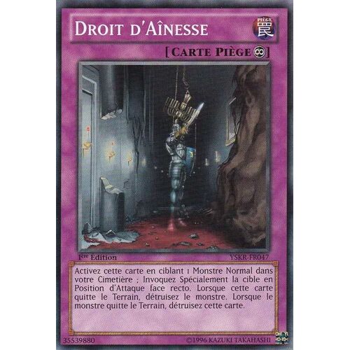 Yskr-Fr047 - Droit D'ainesse - Yu Gi Oh! - Français - Commune - C