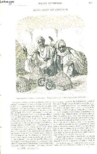 Magasin Pittoresque N°39. Tome Xxviii. Septembre 1860. Oiseaux Savants Dans L Hindoustan - Un Sujet De Tableau - Combien Faut Il De Plomb Pour Tuer Un Soldat A La Guerre - Les Chasses De ...
