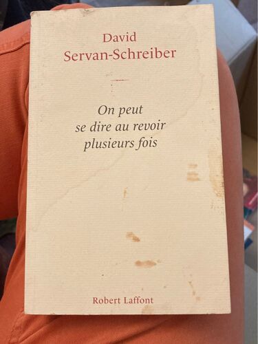On Peut Se Dire Au Revoir Sur Foix, David Servan-Schreiber