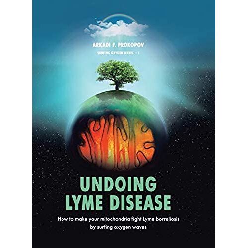 Undoing Lyme Disease