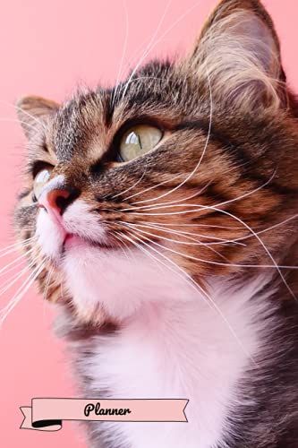 Planner: A Zelda Amara Design | Animals | Cat | Dated Weekly Calendar | Us Holidays