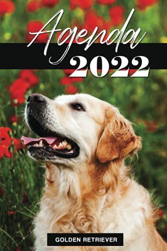 Agenda 2022 : Golden Retriever: Année Scolaire (De Janvier 2022 À Décembre 2022) | Chien | 2 Jours Par Page | Calendrier Journalier | Format A5 | Idée ... Chiots, De Chiens Et D'animaux De Compagnie