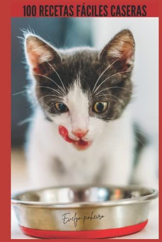100 Recetas Fáciles Caseras: Gato