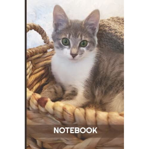 Cat Notebook Journal: Cat Notebook For Cat Lovers, Blank Lined Journal For Women, Girls And Boys - 6x9, 120 Pages