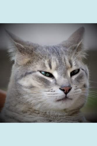 Notebook: Deep Thoughts - Cahier: Pensã©Es Profondes