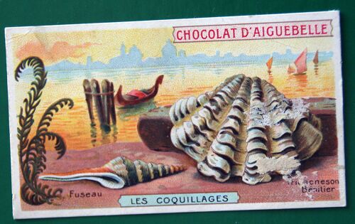 Images Les Coquillages (Chocolaterie D'aiguebelle)