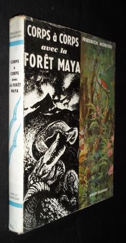 Corps À Corps Avec La Forêt Maya